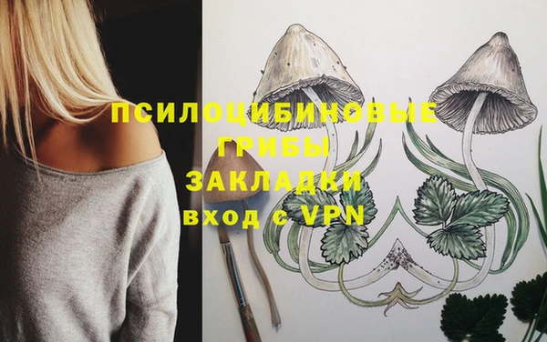 крисы Верхнеуральск