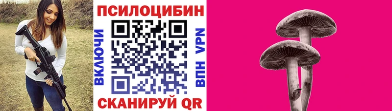 Галлюциногенные грибы ЛСД  как найти   Топки 